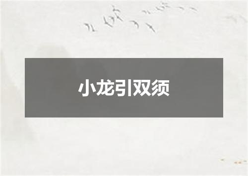 小龙引双须