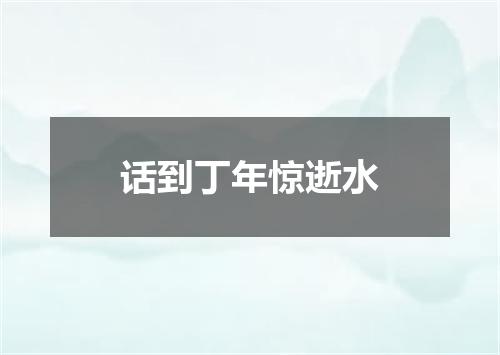 话到丁年惊逝水