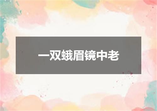 一双蛾眉镜中老