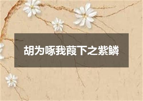 胡为啄我葭下之紫鳞