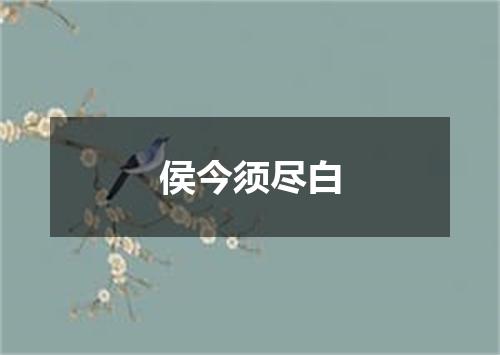 侯今须尽白