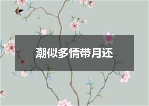 潮似多情带月还