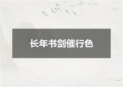 长年书剑催行色