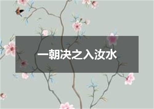 一朝决之入汝水
