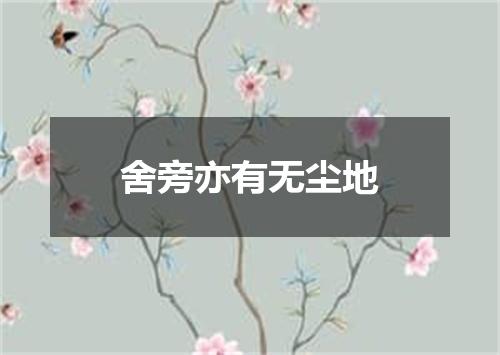 舍旁亦有无尘地