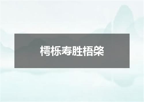 樗栎寿胜梧棨