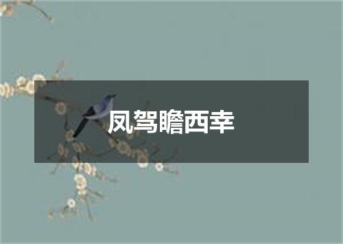 凤驾瞻西幸