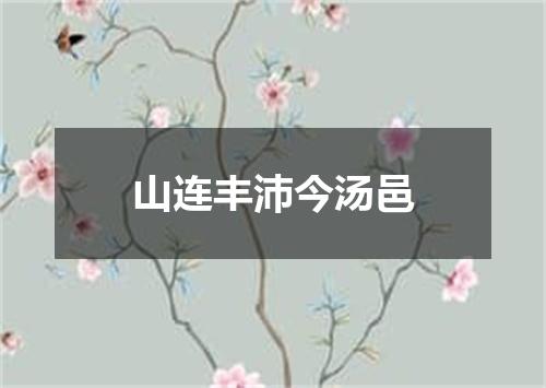 山连丰沛今汤邑