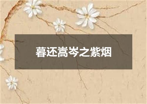 暮还嵩岑之紫烟