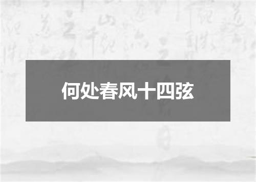 何处春风十四弦