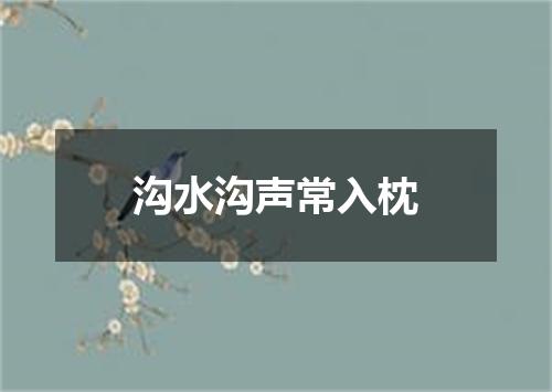 沟水沟声常入枕