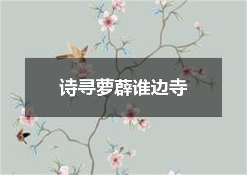 诗寻萝薜谁边寺
