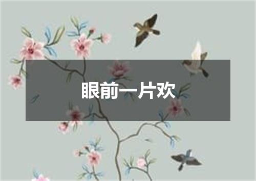 眼前一片欢