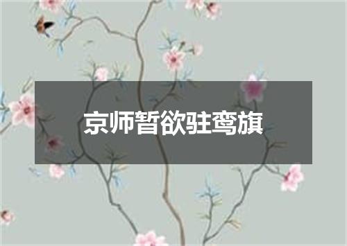 京师暂欲驻鸾旗