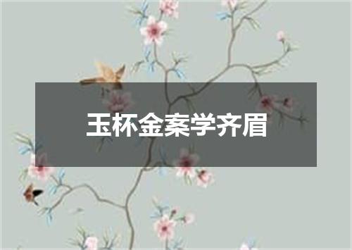 玉杯金案学齐眉