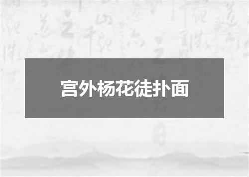 宫外杨花徒扑面