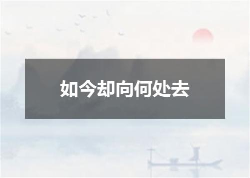 如今却向何处去