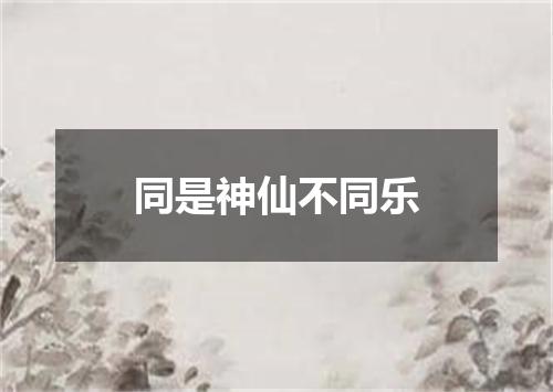 同是神仙不同乐
