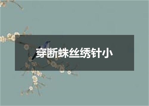 穿断蛛丝绣针小