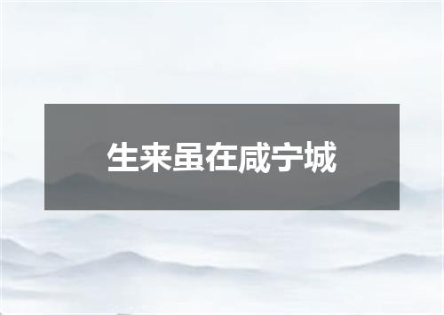 生来虽在咸宁城