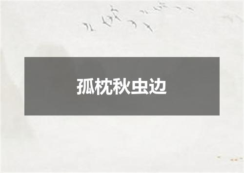 孤枕秋虫边