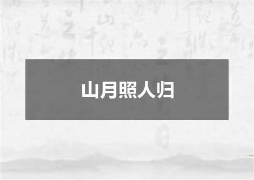 山月照人归