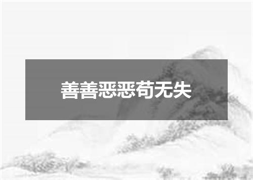 善善恶恶苟无失