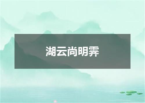 湖云尚明霁