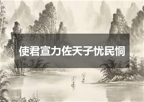 使君宣力佐天子忧民恫