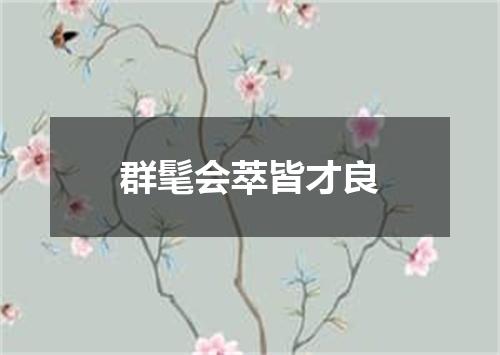 群髦会萃皆才良