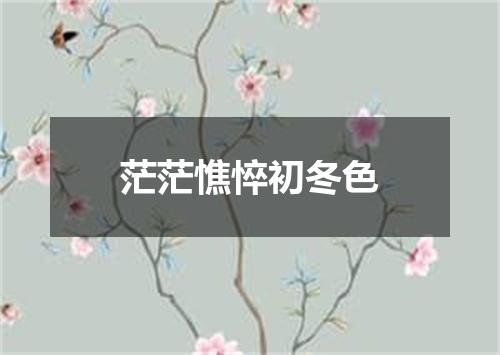 茫茫憔悴初冬色