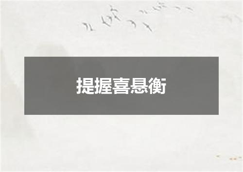 提握喜悬衡