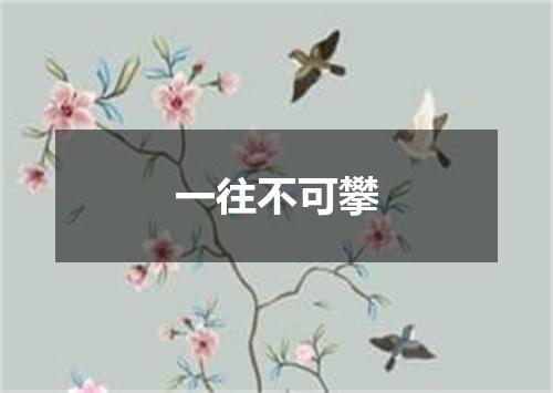 一往不可攀