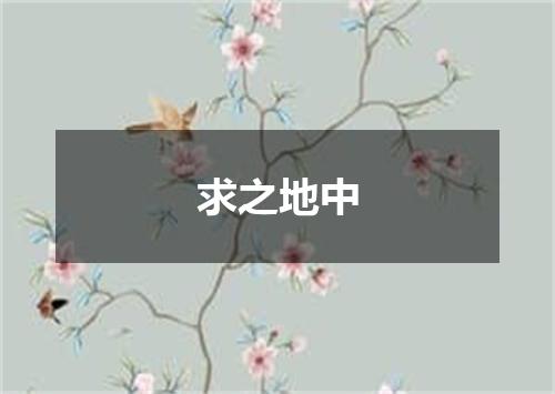 求之地中