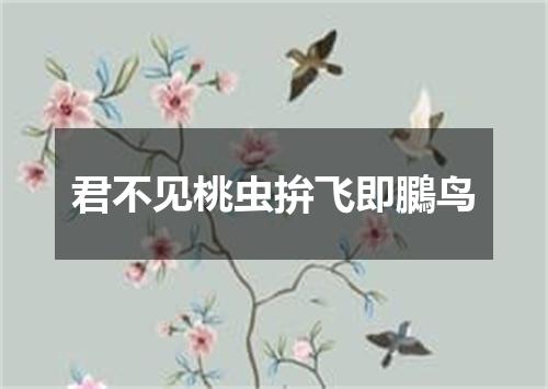 君不见桃虫拚飞即鵩鸟