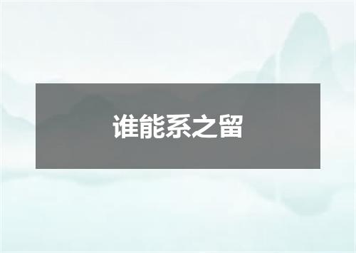 谁能系之留