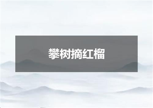 攀树摘红榴