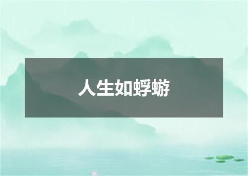 人生如蜉蝣