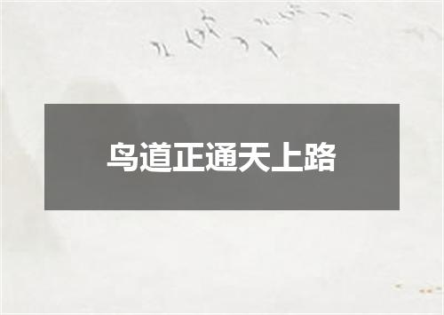 鸟道正通天上路