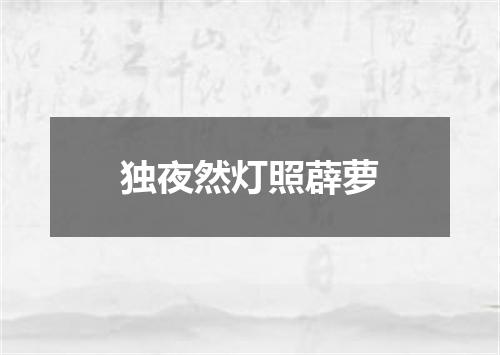 独夜然灯照薜萝