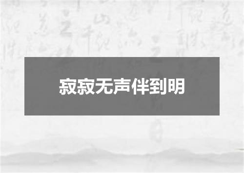 寂寂无声伴到明