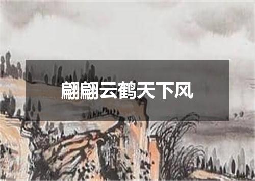 翩翩云鹤天下风