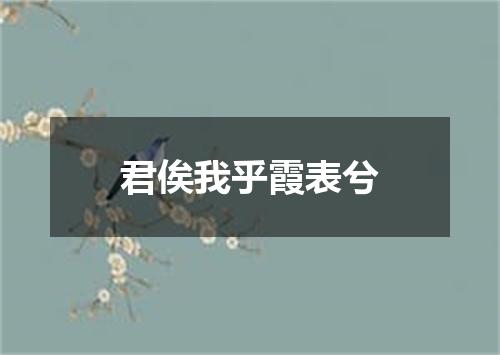 君俟我乎霞表兮