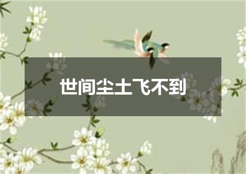 世间尘土飞不到