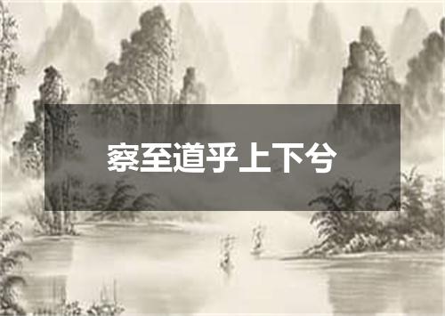 察至道乎上下兮