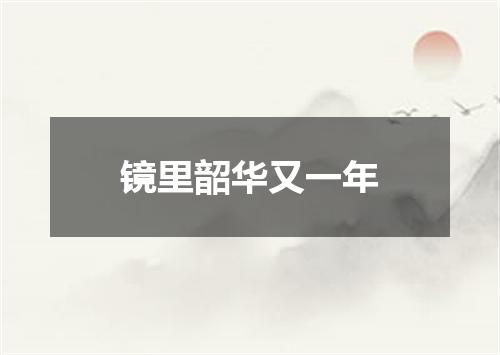镜里韶华又一年