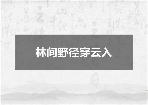 林间野径穿云入