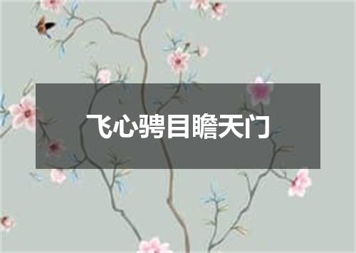 飞心骋目瞻天门