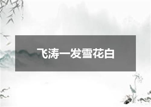 飞涛一发雪花白