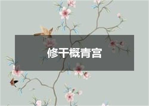 修干概青宫